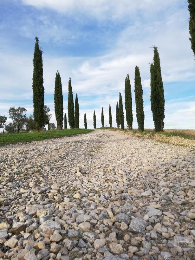 Podere Sant'Antonio Buonconvento Ngoại thất bức ảnh