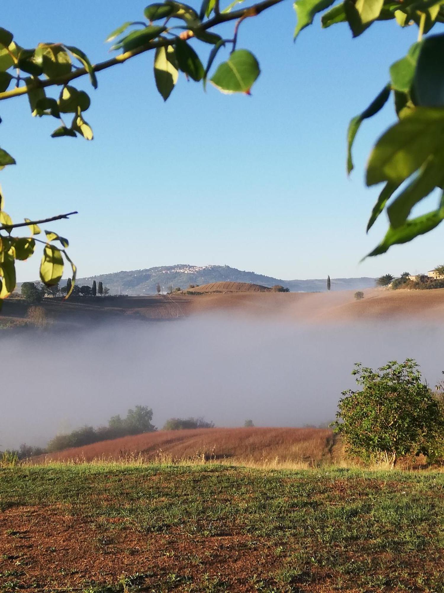 Podere Sant'Antonio Buonconvento Ngoại thất bức ảnh